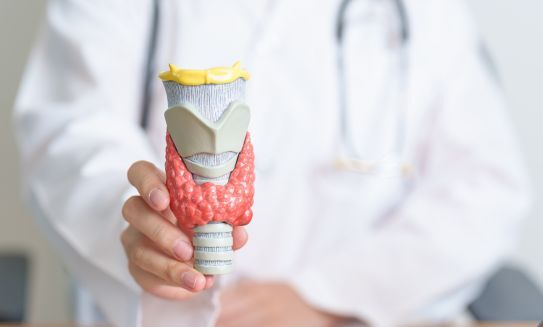 Cáncer de tiroides: síntomas, tipos, pronóstico y tratamiento